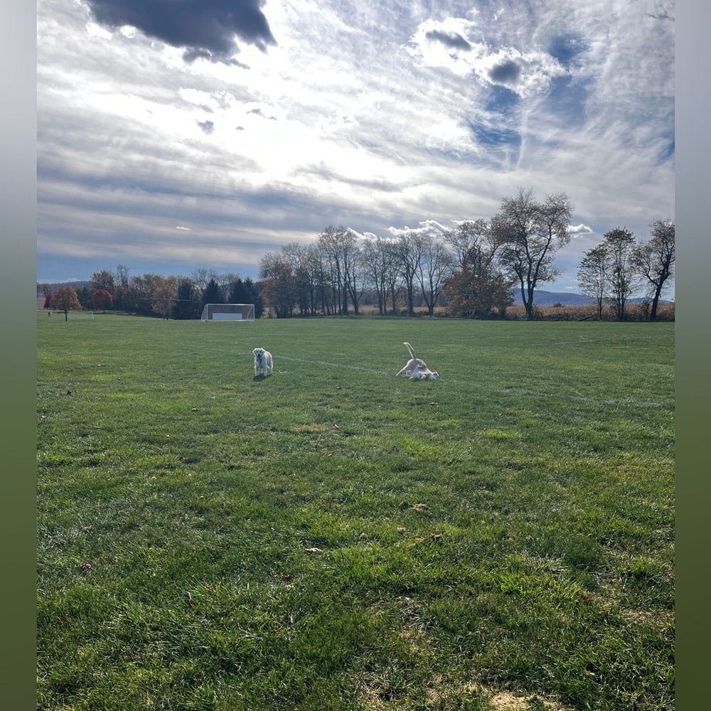 Meet your Posher, K.